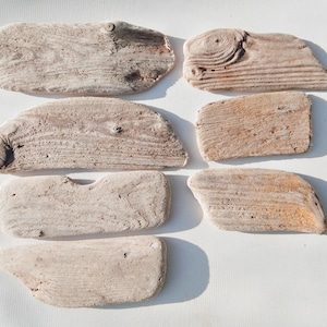 Selección de 7 pequeños letreros de madera flotante de aspecto antiguo, de 13 a 23 cm (5,1 a 9 pulgadas) (n.° D6)