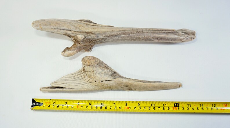 2 Unique Driftwood Sculptures 11.8-14.6/'/'30-37cm Small Driftwood Pieces,Natural Beach Decor,Amazing Driftwood #D21