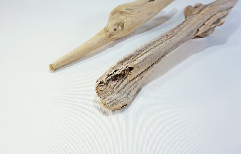 2 Unique Driftwood Sculptures 11.8-14.6/'/'30-37cm Small Driftwood Pieces,Natural Beach Decor,Amazing Driftwood #D21