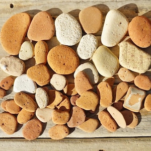 Selectie van 50 strandsteenaardewerk in bulk van 0,5-2,6&#39;&#39;/1,4-6,8 cm zeebaksteen - strandterracottastukken #22