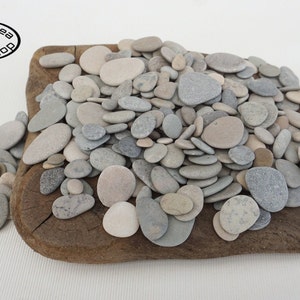 100/150 piccole pietre da 0,6-1,2"/1,5-3 cm - Ciottoli di mare piccoli/minuscoli, piccole pietre di mare, fornitura di ciottoli artistici, BalticSeaWorkshop#R16