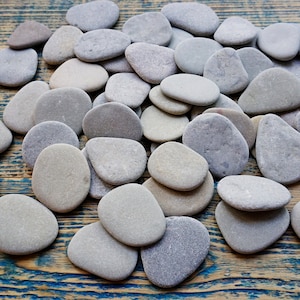 Può includere: Una collezione di pietre lisce di forma ovale in tonalità di grigio e beige. Le pietre sono disposte in un mucchio su una superficie di legno invecchiato blu e marrone.