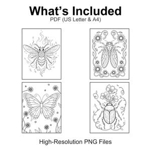 May include: Black and white line art illustrations of insects and flowers. The image includes a bee, cicada, butterfly, and beetle, each surrounded by floral elements. Text at the top reads "What's Included" and "PDF (US Letter & A4)".