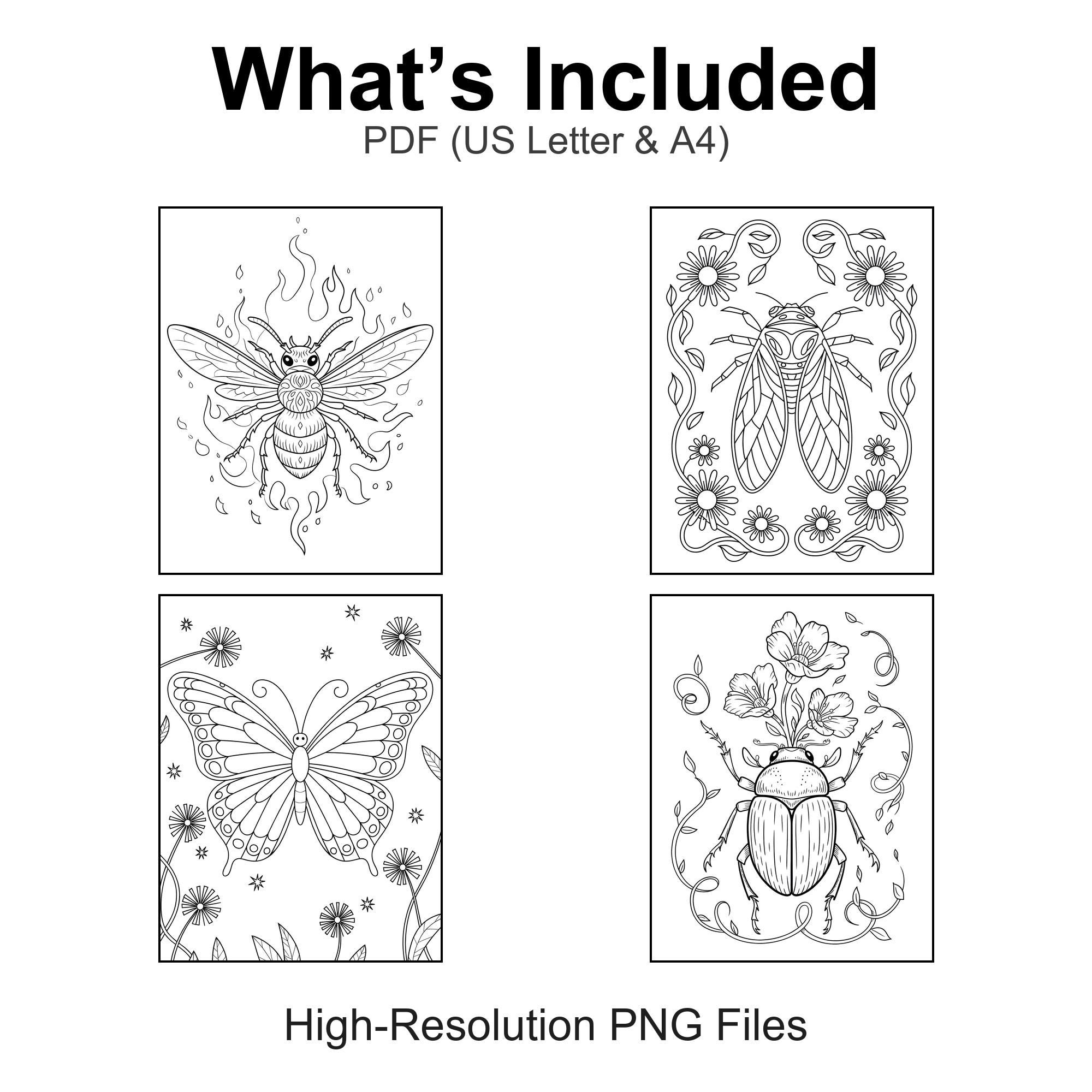 Little Bug Oracle The Bug Oracle Coloring Book 60+ Pages PDF Printable | Insect Coloring ...