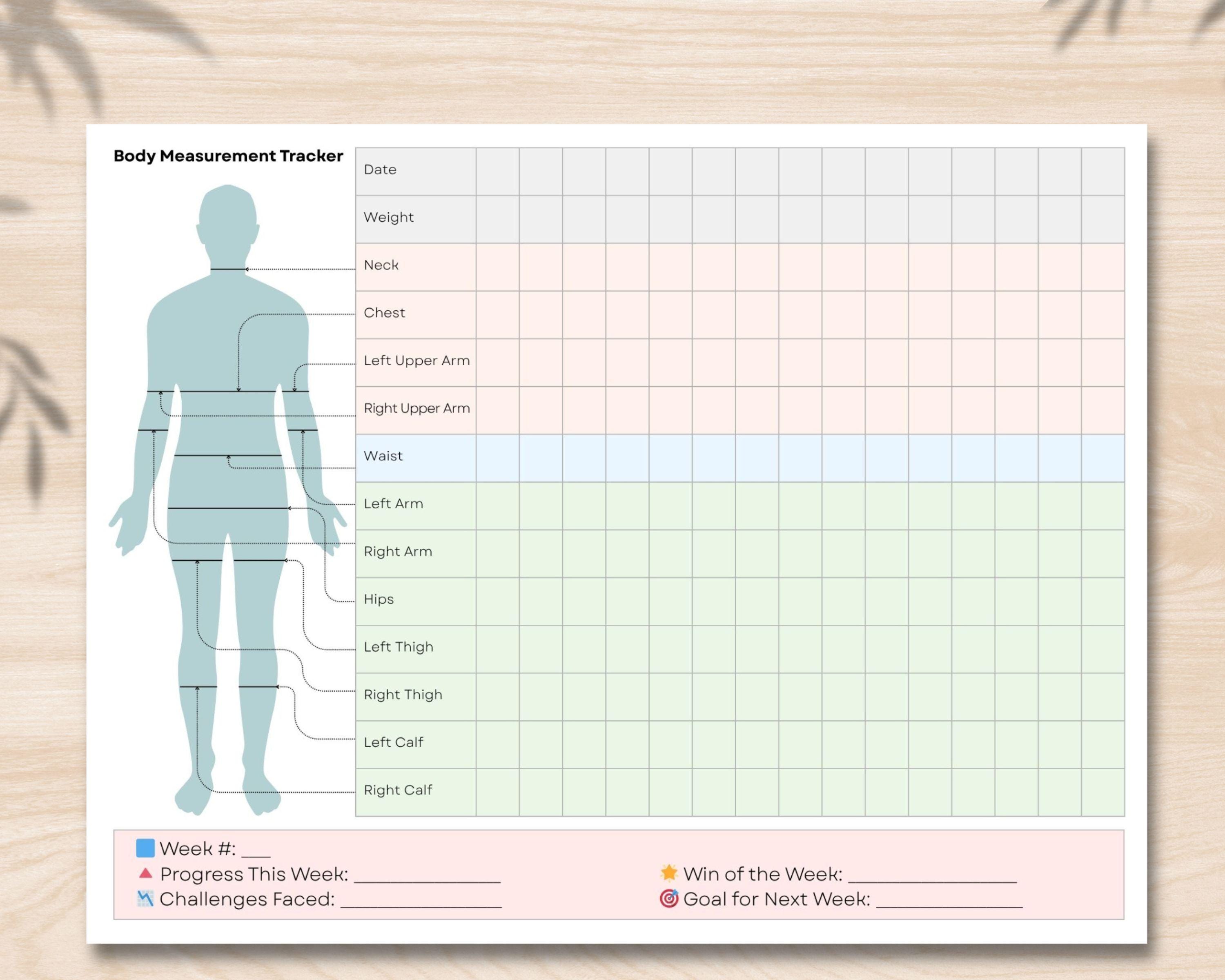 Body Measurement Tracker Printable, A4 Weight Loss Chart and Fitness ...