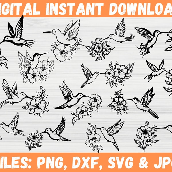 Bundle SVG fleur Colibri, Image Clipart oiseau, Silhouette animal volant, Art vectoriel imprimable, téléchargement numérique instantané, Cricut pour Svg