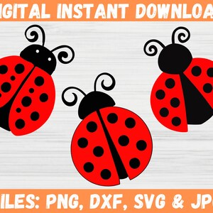 Ladybug Bundle SVG Cute Insect Clipart for Cricut Lady Bug Cut Files in ...