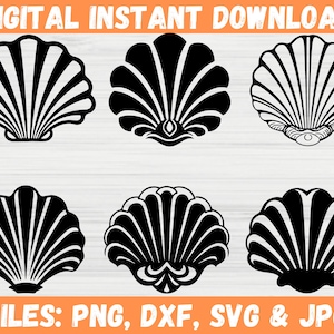 Beach Sea Shells SVG | Ocean Marine Seashell Silhouette & Outline Art (Digital Download)