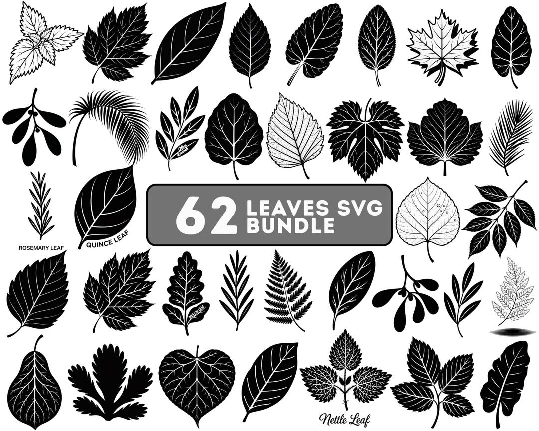 Leaves SVG Bundle | Autumn Leaf Collection | Fall Clipart | Leaf ...
