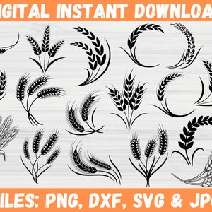 Pacchetto SVG di grano, clipart di chicchi di grano, silhouette di prodotti agricoli di raccolto, vettore di fieno di grano digitale, download istantaneo, file di taglio Cricut per SVG