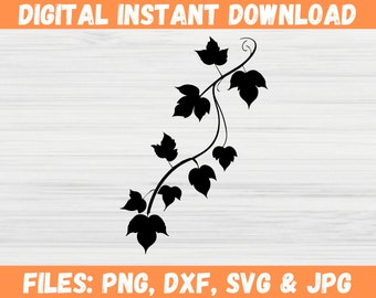 Ivy Branch SVG Bundle, Hand Drawn Poison Ivy Leaves Cut Files for Cricut Silhouette, Botanical Leaf Clipart PNG DXF