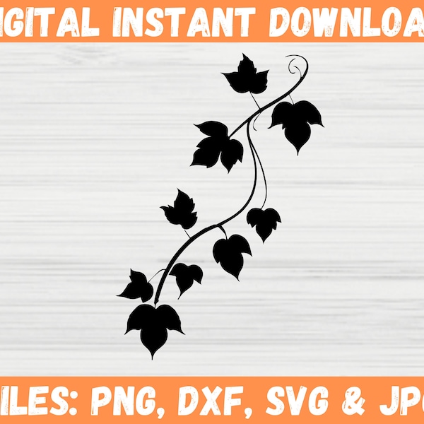 Ivy Branch SVG - Hand Drawn Leaf Vines SVG, Poison Ivy Leaves Silhouette - Paper Leaf Branch - Cricut Files for Svg, Png, Dxf, Jpg