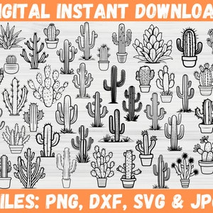 90+ Cactus Collection SVG, Cacti Clipart Bundle, Succulent Flower Plant Silhouette, Desert Cute Design, Digital Download, Cricut File Svg