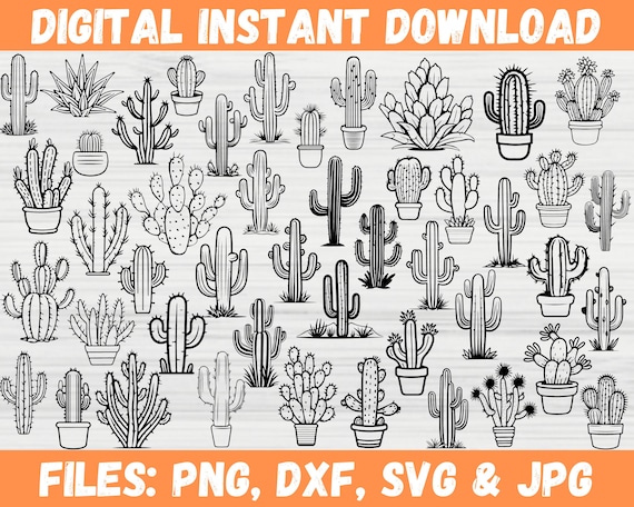 90+ Cactus Collection SVG, Cacti Clipart Bundle, Succulent Flower Plant Silhouette, Desert Cute Design, Digital Download, Cricut File Svg