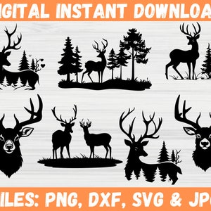 Deer Head SVG, Deer Vector png, Buck Hunting Clipart, Svg Hunters Design, Deer Svg, Deer Clipart, Hunting SVG, Woodland Deer, Deer Clipart