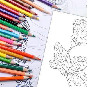 Flower Blossom Botanical Coloring
Rustic Botanicals for Coloring
Floral Botanicals with Leaves
Flower and Vine Botanicals
Tropical Bloom and Botanical Art
Botanical Garden Sketches Coloring
Bloom and Botanicals for DIY Projects
Exotic Flowers and Botanicals Coloring
Floral Blooms for Art Therapy