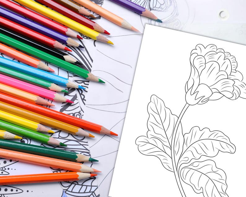 Flower Blossom Botanical Coloring
Rustic Botanicals for Coloring
Floral Botanicals with Leaves
Flower and Vine Botanicals
Tropical Bloom and Botanical Art
Botanical Garden Sketches Coloring
Bloom and Botanicals for DIY Projects
Exotic Flowers and Botanicals Coloring
Floral Blooms for Art Therapy