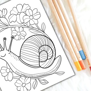 Folk and Nature Floral Designs
Folk and Nature Birds Coloring Pages
Folk-Inspired Nature Art
Folk and Nature Landscape Coloring
Nature Folk Art with Flowers
Folk Style Nature Scenery
Folk & Nature Abstract Art
Folk & Nature Trees Coloring Pages