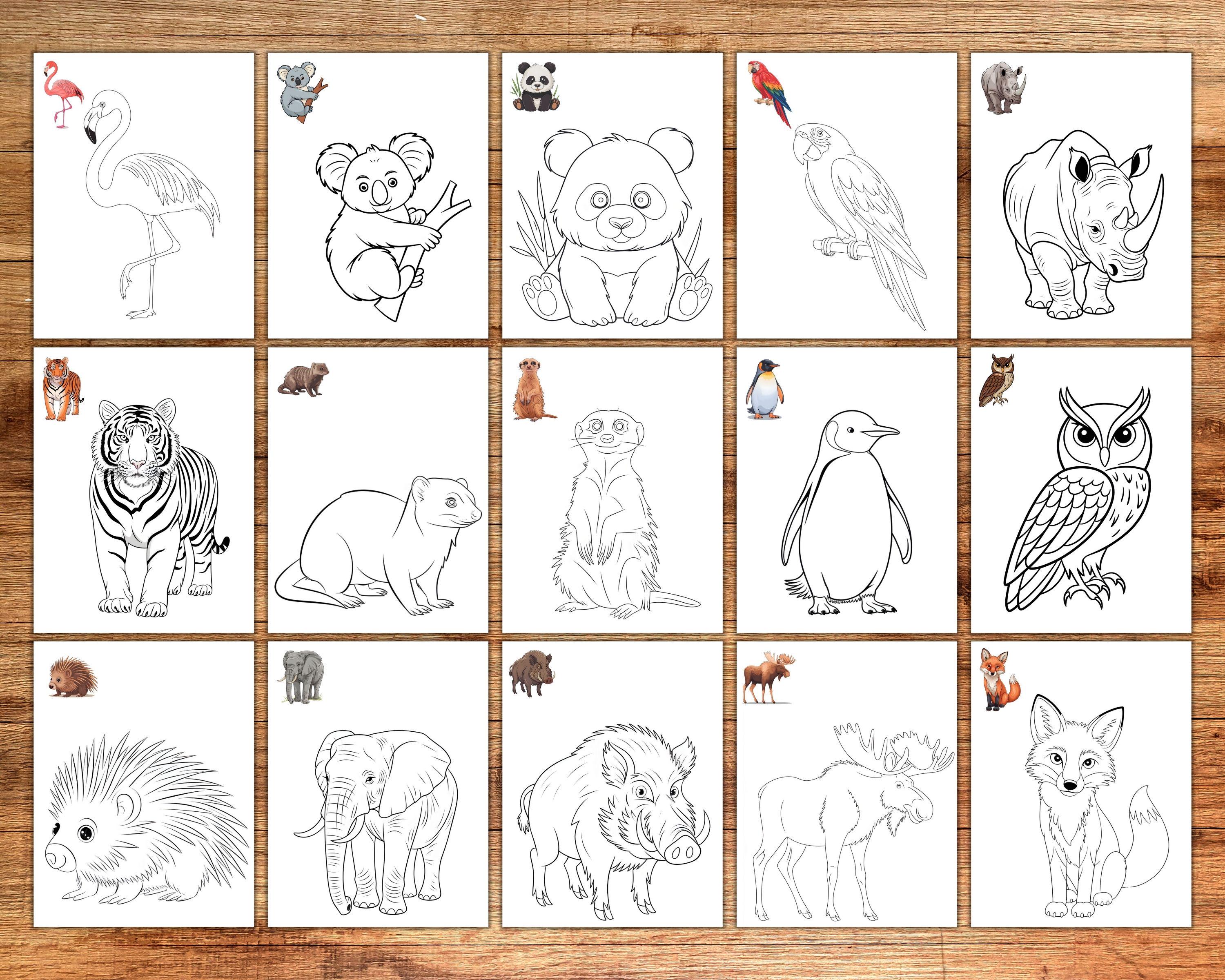 50 Safari Animals Coloring Pages for Kids, Printable Jungle Animal ...