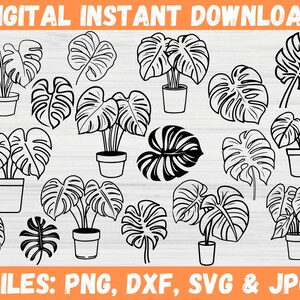 Puede incluir: Descarga instantánea digital con ilustraciones en blanco y negro de plantas y hojas de Monstera. La imagen incluye varios arreglos de plantas en macetas y diseños de hojas individuales. El texto en la parte superior dice "DESCARGA INSTANTÁNEA DIGITAL" y en la parte inferior "ARCHIVOS: PNG, DXF, SVG & JPG".