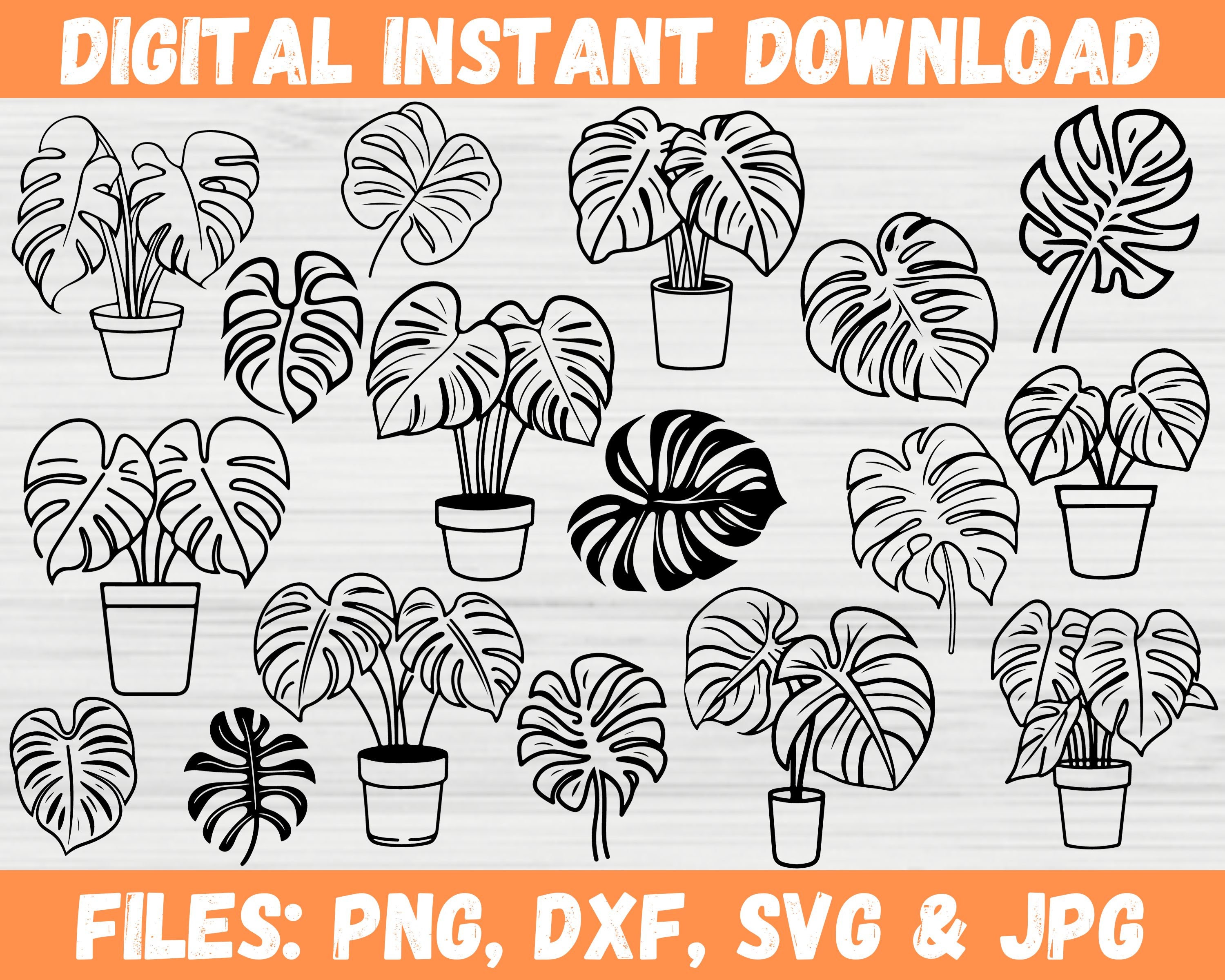 Monstera SVG Bundle, Cute Jungle Leaf Silhouette, Cricut SVG File ...