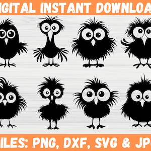 Cartoon Birds SVG Bundle, Frazzled Bird Silhouette, Cartoon Bird Clipart Vector, Zapped Cute Birds Png, Instant Download, Cricut Files Svg