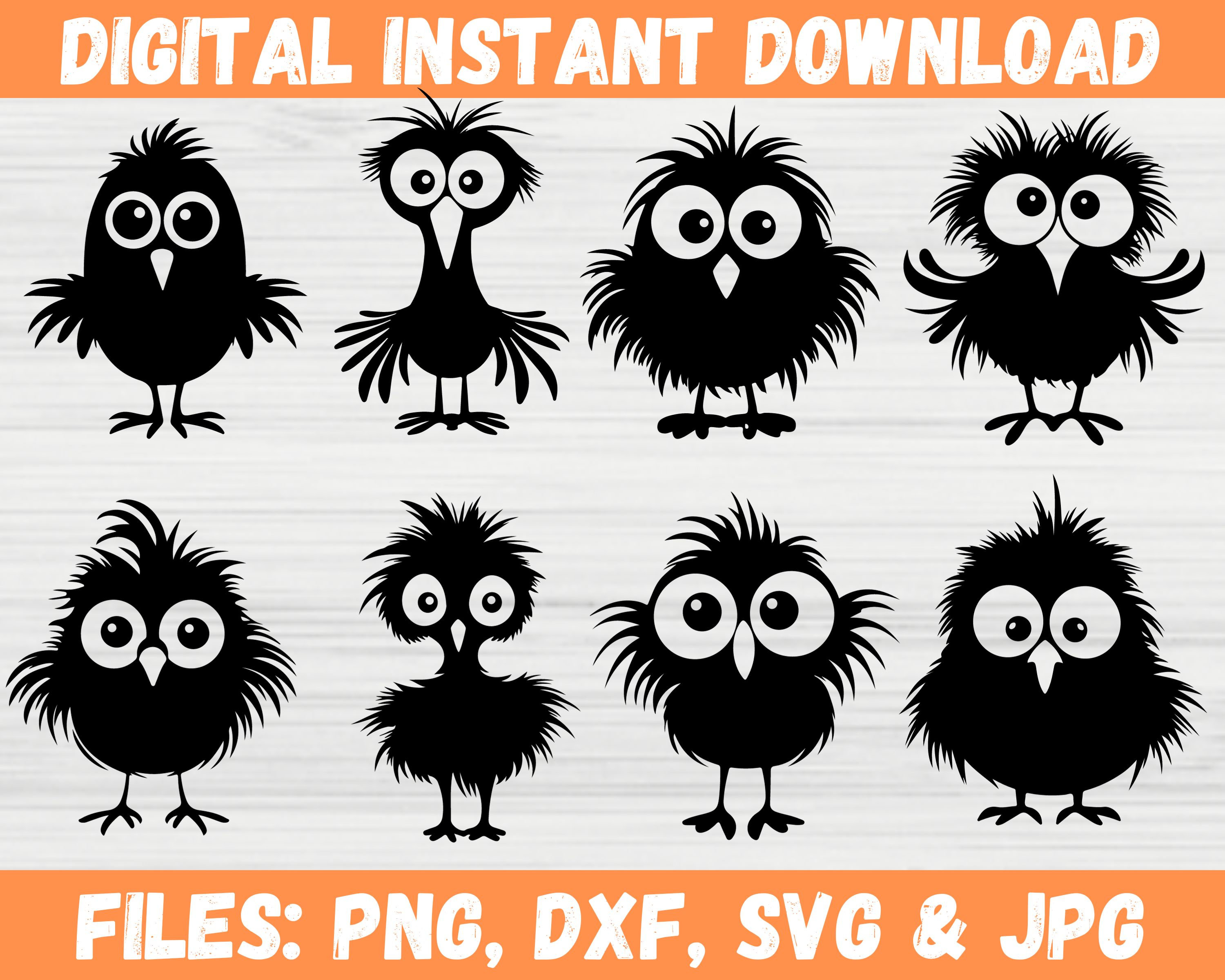 Cartoon Birds SVG Bundle, Frazzled Bird Silhouette, Cartoon Bird Clipart Vector, Zapped Cute Birds Png, Instant Download, Cricut Files Svg