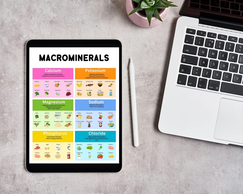 multivitamin comparison guide
nutritional health chart
micronutrient daily requirements
nutrient health guide
vitamin and mineral intake tracker
nutrition facts infographic
vitamin food chart