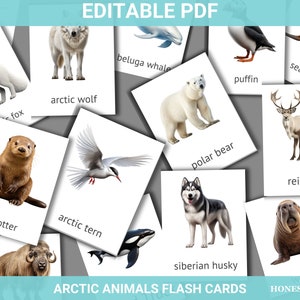 Cartões flash realistas de animais do Ártico, cartões Montessori para educação infantil, cartões imprimíveis de aprendizagem, material de nomenclatura de 3 partes, 7 a 10 anos