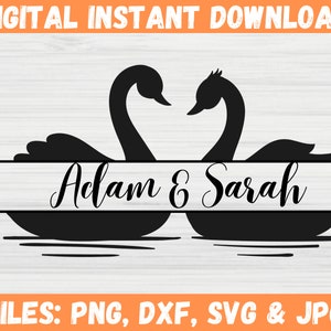 Pareja de cisnes SVG, pájaro amoroso con monograma de marco dividido, diseño de clipart de cisne, hermoso vector de cisne, archivos de corte de silueta Cricut SVG, PNG, JPG