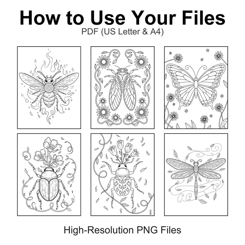 May include: Black and white line art illustrations of insects and a butterfly. The image includes a bee, cicada, beetle, and dragonfly. Text reads "How to Use Your Files" and "High-Resolution PNG Files".