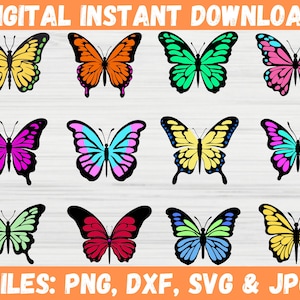 Colorful Butterfly SVG Bundle, Butterfly Clipart Svg, Butterfly Vector,Butterfly SVG Layered, Monarch Butterfly, Layered Sublimation Clipart