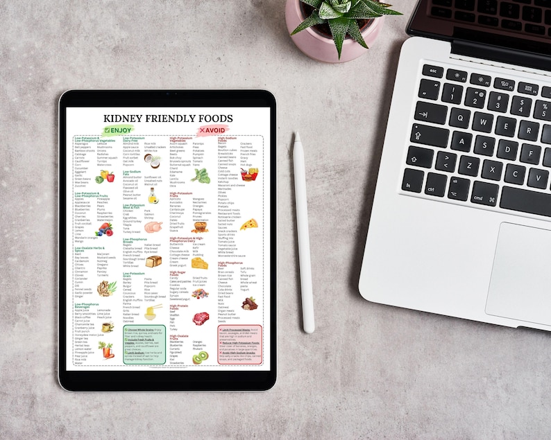 Foods to support kidney function
Low-fat foods for kidney disease
Kidney disease food and drink guidelines
Best foods for kidney detox
Renal diet foods for beginners
Kidney-friendly grains
Diet for chronic kidney disease
