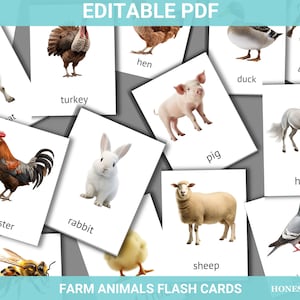 Cartes Flash Animaux | Carte imprimable PDF | Cartes de nomenclature de cartes Montessori modifiables | Cartes Flash éducatives sur les animaux de la ferme 4-6 ans