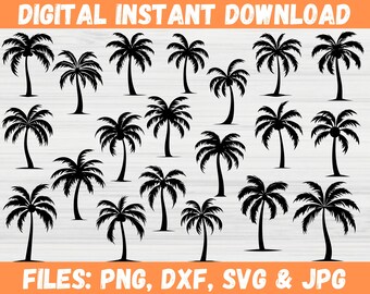 Palm Tree SVG, Palm Tree svg Bundle, Tropical Palm Svg, Palm Tree PNG, Palm Tree Cut File, Beach Life Svg, Summer svg, Palm Decal, Palm Png