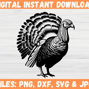 Wilder Truthahn SVG, Thanksgiving Truthahn Clipart, Truthahn Jagd Digital Download, Truthahn Silhouette für Cricut, Vinyl Cutter, Abziehbild