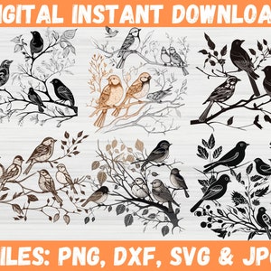 Vögel auf Zweigen SVG - Wunderschöne zwitschernde Herde in atemberaubender Silhouette von Baum und Skyline - enthält Vogel EPS-Datei für Ihre Projekte, png