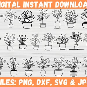 Boho Elements Haus Pflanze SVG Pflanzen Bundle, Topfpflanzen Zimmerpflanzen Clipart, Indoor Gartenarbeit Silhouette Schnittdateien für Cricut