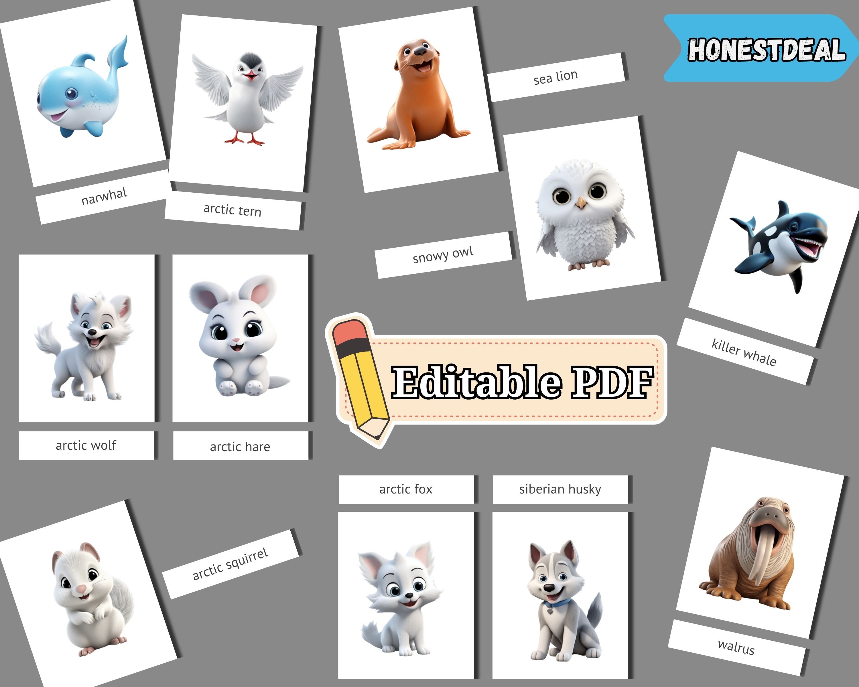 Cute Cartoon Arctic Animals Flash Cards for Kids & Toddlers ...