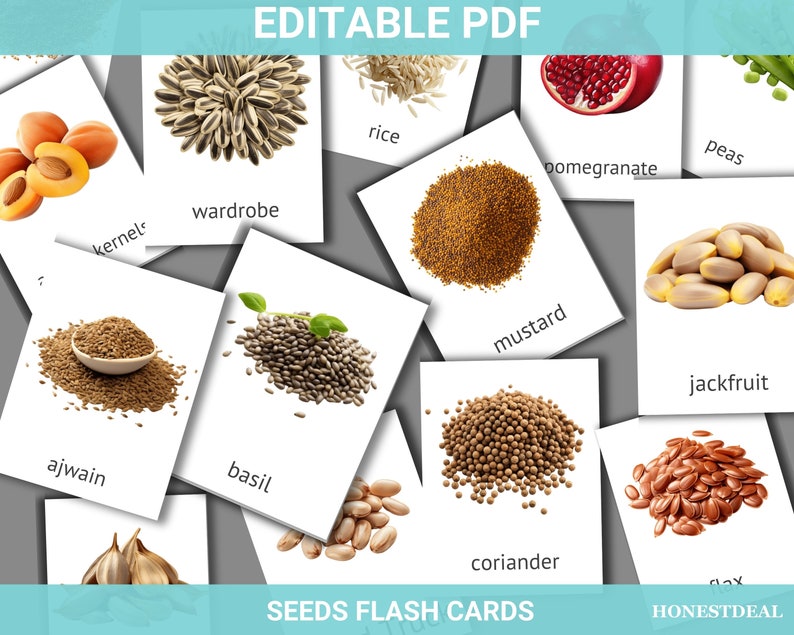 Realistic Seeds Flash Cards, Montessori Printable Card Home Schooling ...
