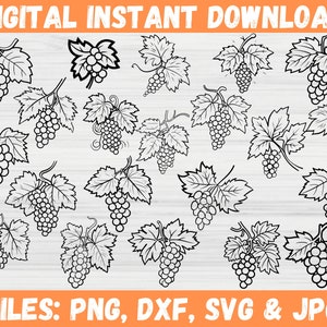 Puede incluir: Un conjunto de 20 ilustraciones de vides en blanco y negro. Las uvas están agrupadas y tienen un diseño simple y estilizado. Las ilustraciones son perfectas para proyectos de manualidades, scrapbooking o diseño digital. ARCHIVOS: PNG, DXF, SVG y JPG