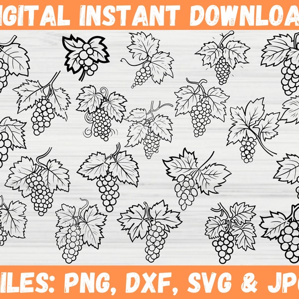 Grapes Fruit Silhouette SVG, Vine Grape Leaves Clipart, Vineyard Fruits Grape Wine Png, Grape Bundle Instant Download, Cricut Files for Svg