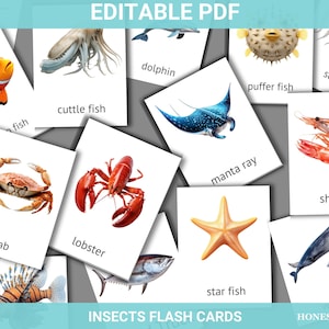 Karty obrazkowe ze zwierzętami morskimi | Karta do druku w formacie PDF | Edytowalne karty Montessori Karty nomenklatury dla przedszkolaków Karty obrazkowe ze zwierzętami morskimi 4-6 lat