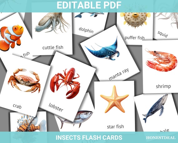 Sea Animals Flashcards | PDF Printable Card | Editable Montessori Cards Nomenclature Cards For Preschool Ocean Animals Flash Cards 4-6 Years