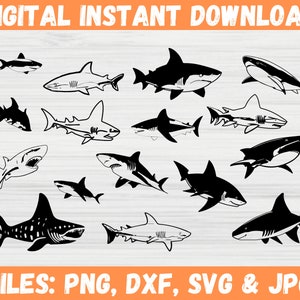 Shark svg Bundle, Hungry Shark, Baby Shark SVG, Shark Fin svg, Cute Shark, Hammerhead Shark SVG, Shark PNG, White Shark