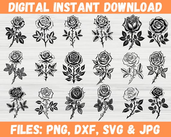 Rose SVG Bundle, Rose Svg, Floral Svg, Rose Svg, Roses Bundle