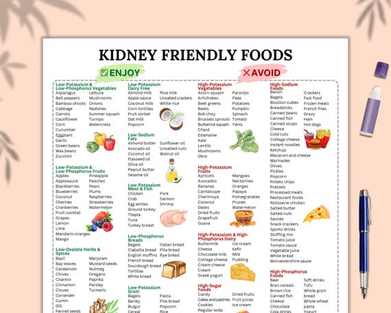 Kidney Disease Food List PDF, Renal Diet Meal Plan, Low Potassium Grocery Guide, Instant Download Nutrition Chart