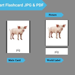 Animals Flashcards | PDF Printable Card | Editable Montessori Cards ...