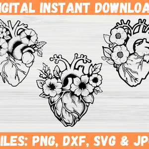 Heart Anatomy SVG Bundle, Human Heart Svg, Floral Anatomical Clipart, Love Heart SVG, Medical Heart Silhouette, Doctor Cardiology Graphic