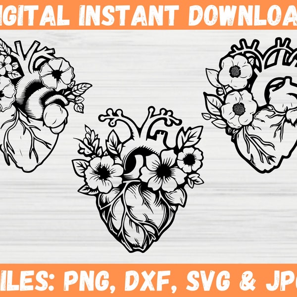 Heart Anatomy SVG Bundle, Floral Anatomical Clipart, Love Heart Svg, Medical Heart Silhouette, Doctor Cardiology Graphic, Cricut File Svg